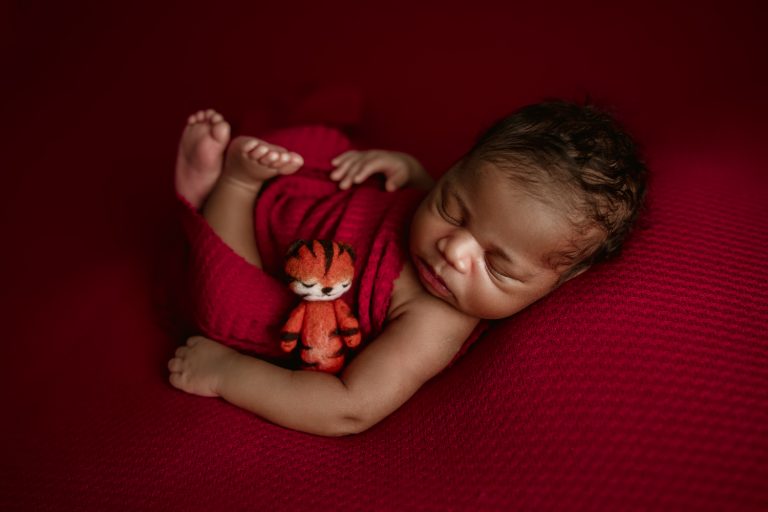 Triad newborn photographer | Baby boy newborn session