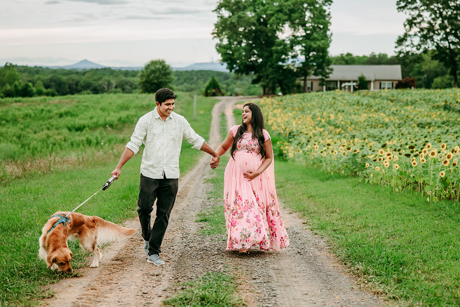 man-and-woman-laughing-while-walking-with-their-dog-during-maternity-photoshoot-in-sunflower-field-in-Dogwood-farm-North-Carolina