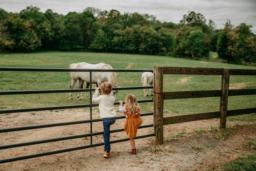 boy and girl looking at horses during Tanglewood park family photo session