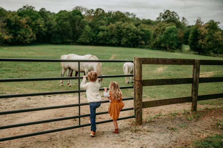 boy and girl looking at horses during Tanglewood park family photo session