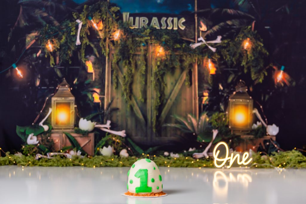 dino cake for first birthday photoshoot at winston-salem cake smash photography session