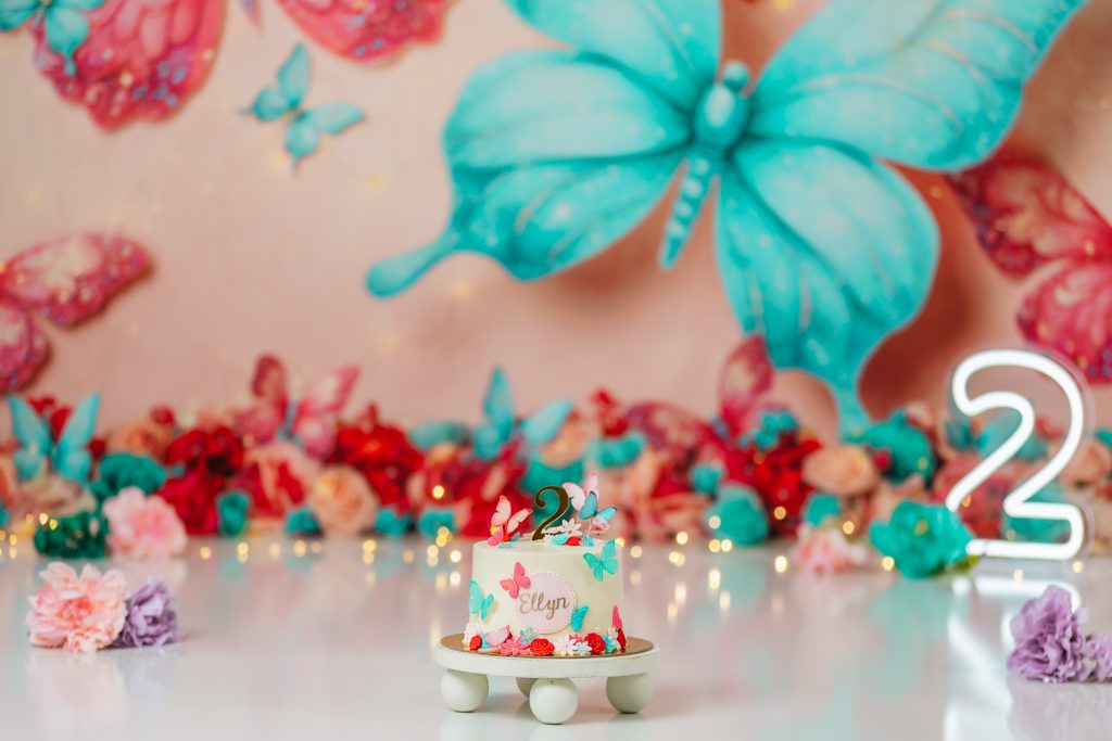 beautiful decorated cake withteal butterflies during second birthday cake smash session in butterfly themed with greensboro baby photographer